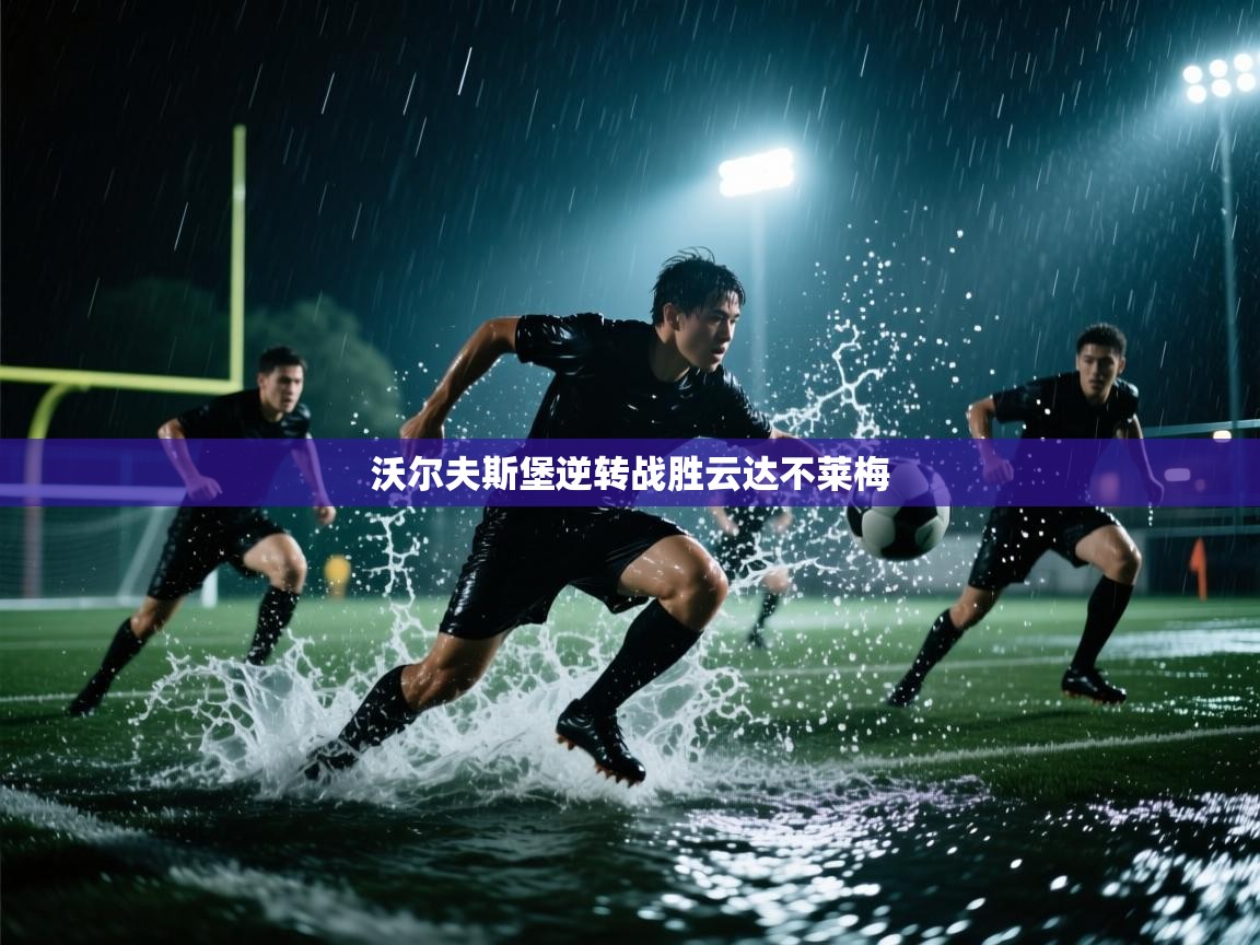 开云体育app下载官网-沃尔夫斯堡逆转战胜云达不莱梅 第2张