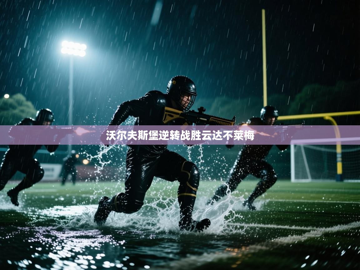 开云体育app下载官网-沃尔夫斯堡逆转战胜云达不莱梅 第4张