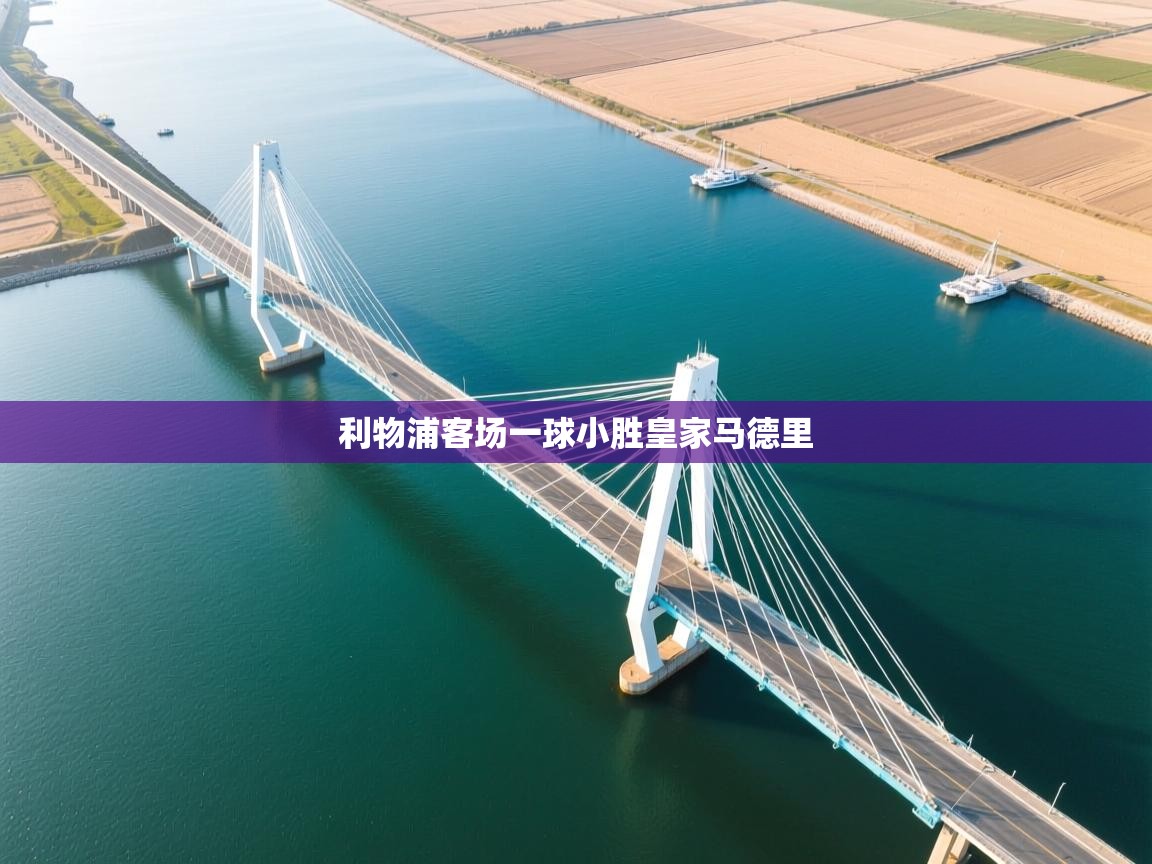 开云体育入口-利物浦客场一球小胜皇家马德里