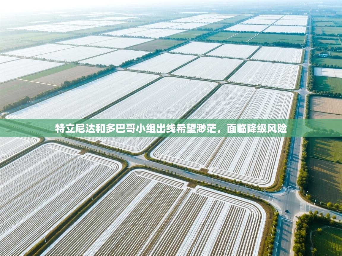 开云赛事-特立尼达和多巴哥小组出线希望渺茫，面临降级风险  第1张