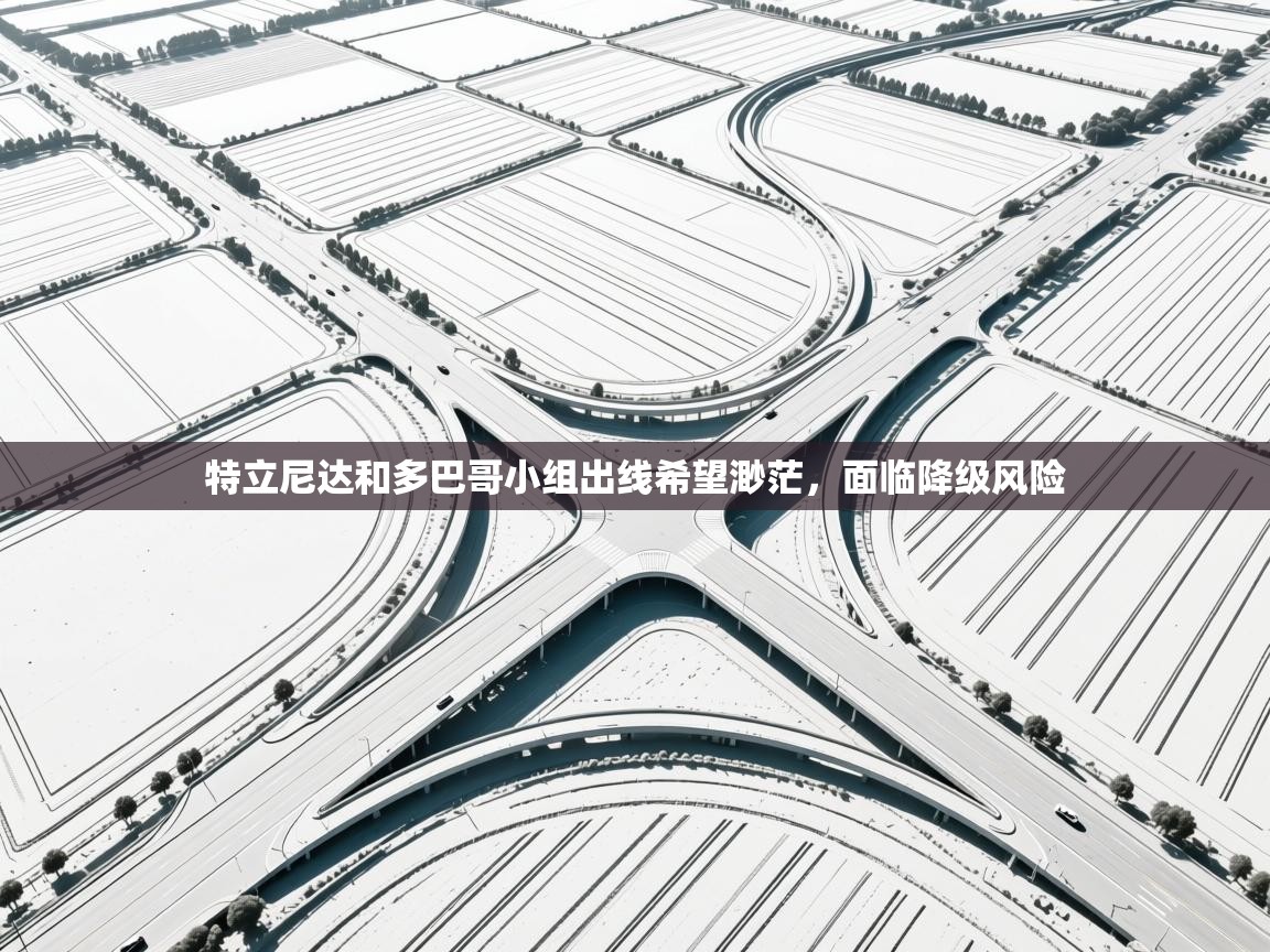 开云赛事-特立尼达和多巴哥小组出线希望渺茫，面临降级风险  第2张