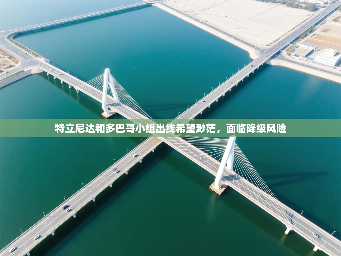 开云赛事-特立尼达和多巴哥小组出线希望渺茫，面临降级风险  第3张