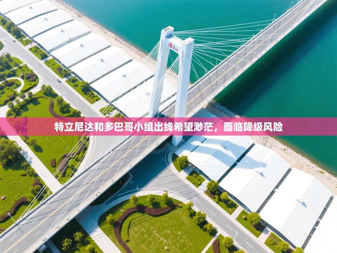 开云赛事-特立尼达和多巴哥小组出线希望渺茫，面临降级风险  第4张