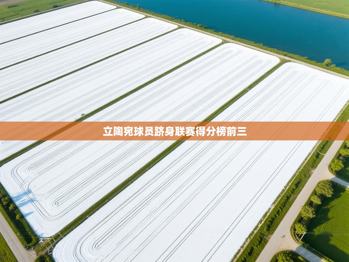 开云平台-立陶宛球员跻身联赛得分榜前三  第4张