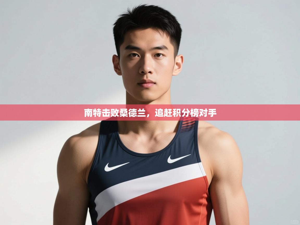 开云体育在线登录-南特击败桑德兰，追赶积分榜对手  第1张