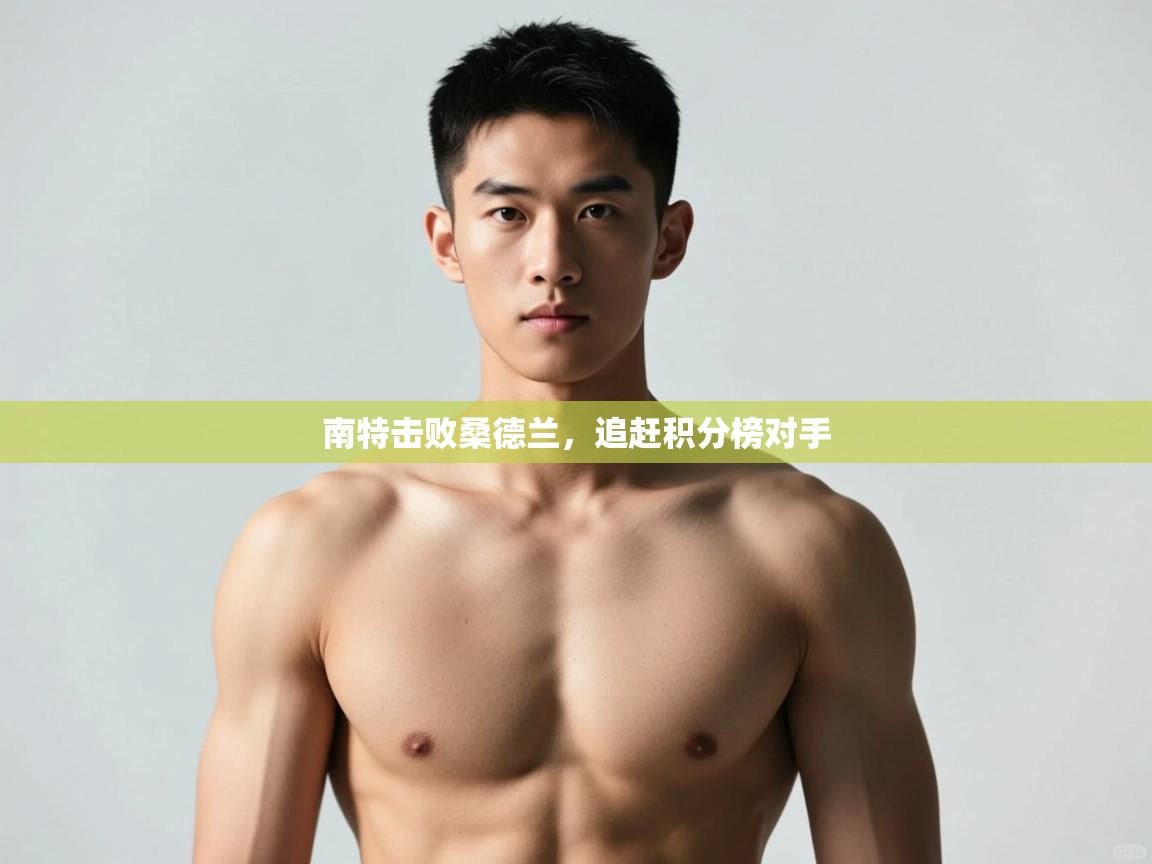 开云体育在线登录-南特击败桑德兰，追赶积分榜对手  第4张