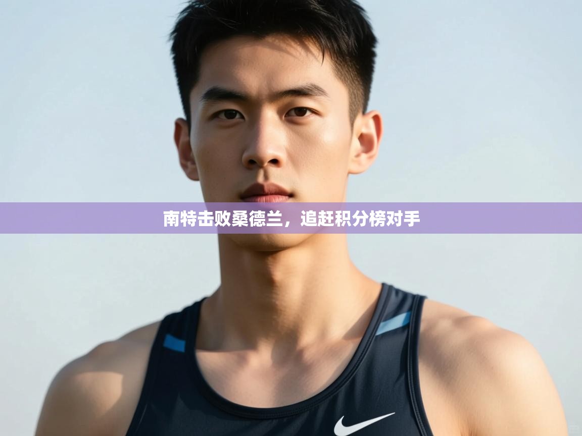 开云体育在线登录-南特击败桑德兰，追赶积分榜对手  第3张