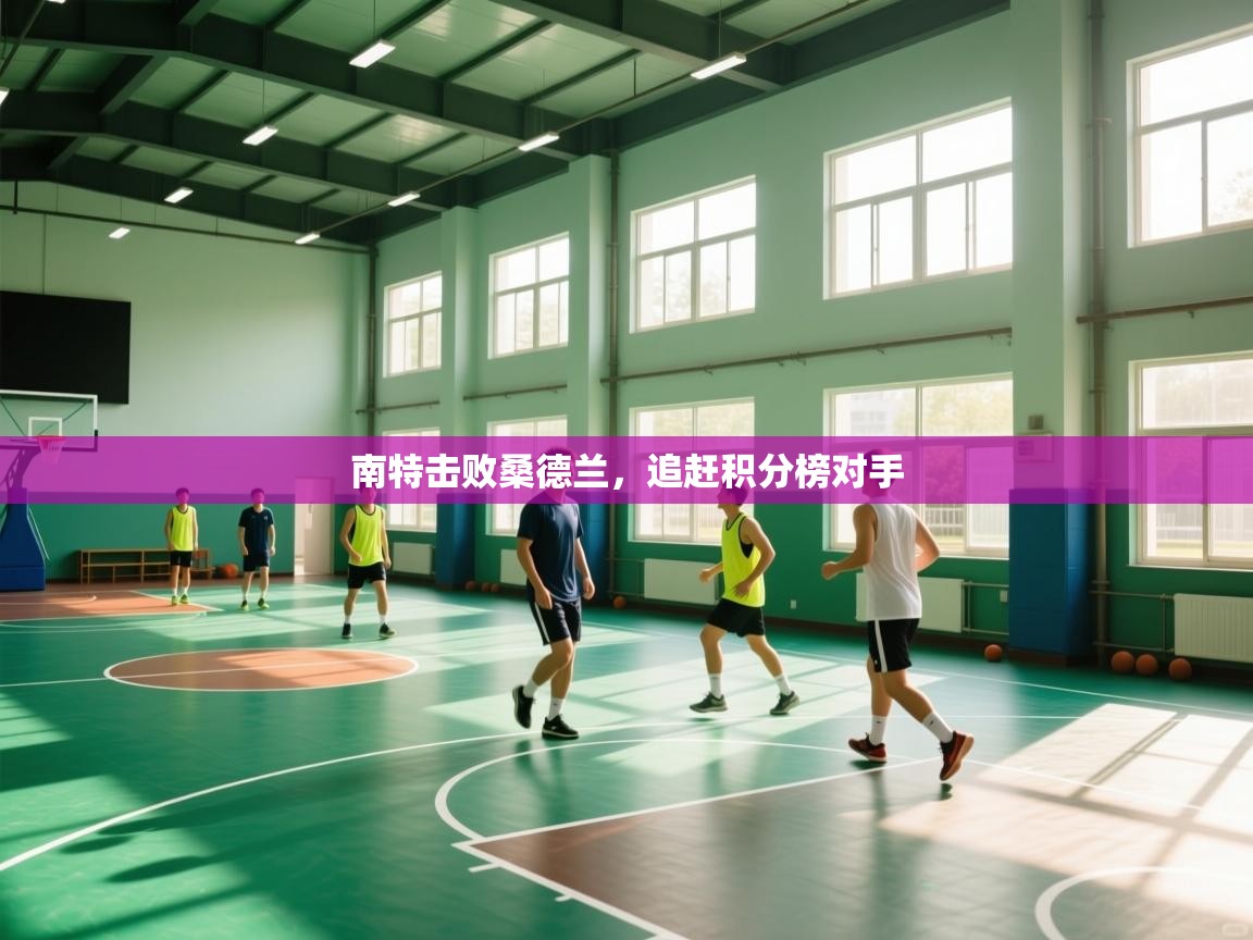 开云体育在线登录-南特击败桑德兰，追赶积分榜对手  第2张